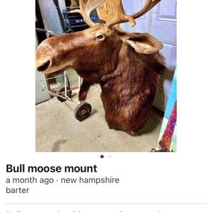 Meet your Posher, Nate